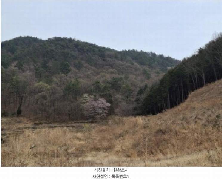 2025타경30604 경상남도 사천시 실안동 산235 임야 경매 이미지