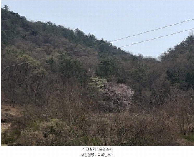 2025타경30604 경상남도 사천시 실안동 산235 임야 경매 이미지