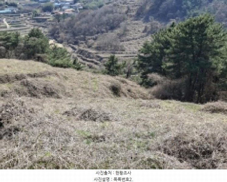 2025타경30655 경상남도 남해군 서면 정포리 535-1 임야 경매 이미지