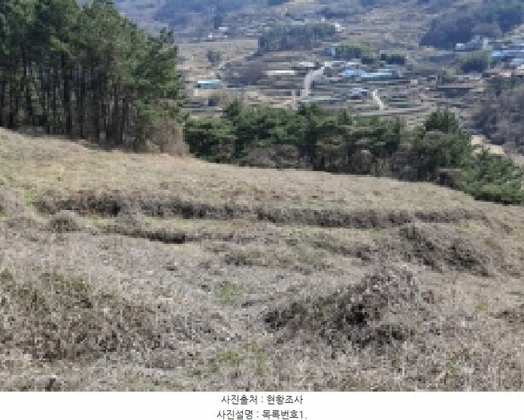 2025타경30655 경상남도 남해군 서면 정포리 535-1 임야 경매 이미지