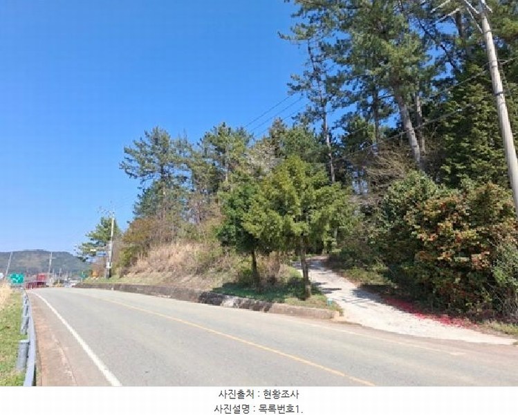 2025타경30696 경상남도 남해군 창선면 오용리 산186 임야 경매 이미지