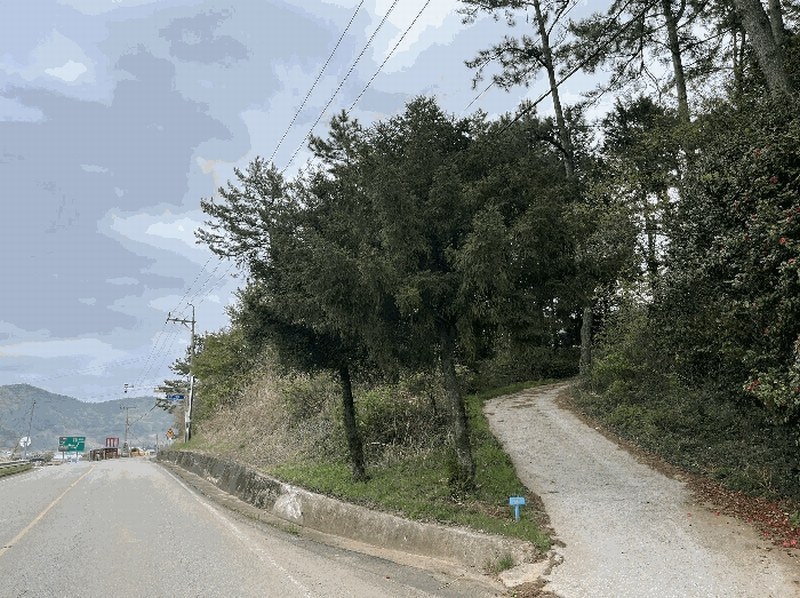 2025타경30696 경상남도 남해군 창선면 오용리 산186 임야 경매 이미지