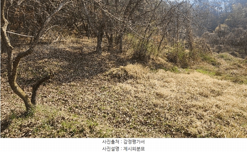 2025타경30703 경상남도 진주시 금곡면 가봉리 산34 임야 경매 이미지