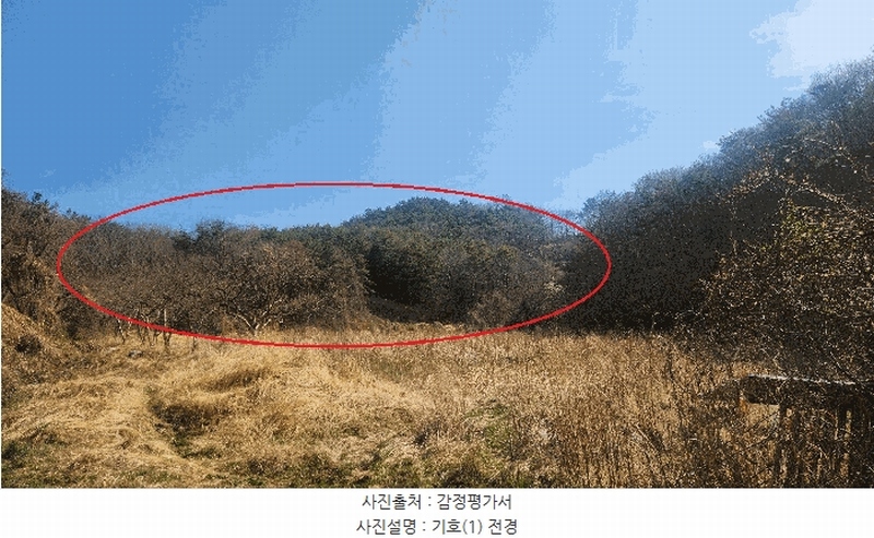 2025타경30703 경상남도 진주시 금곡면 가봉리 산34 임야 경매 이미지