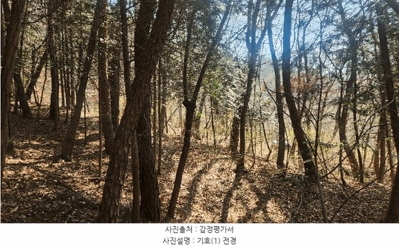 2025타경30703 경상남도 진주시 금곡면 가봉리 산34 임야 경매 이미지