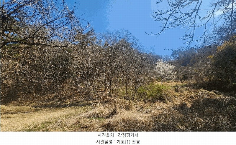 2025타경30703 경상남도 진주시 금곡면 가봉리 산34 임야 경매 이미지