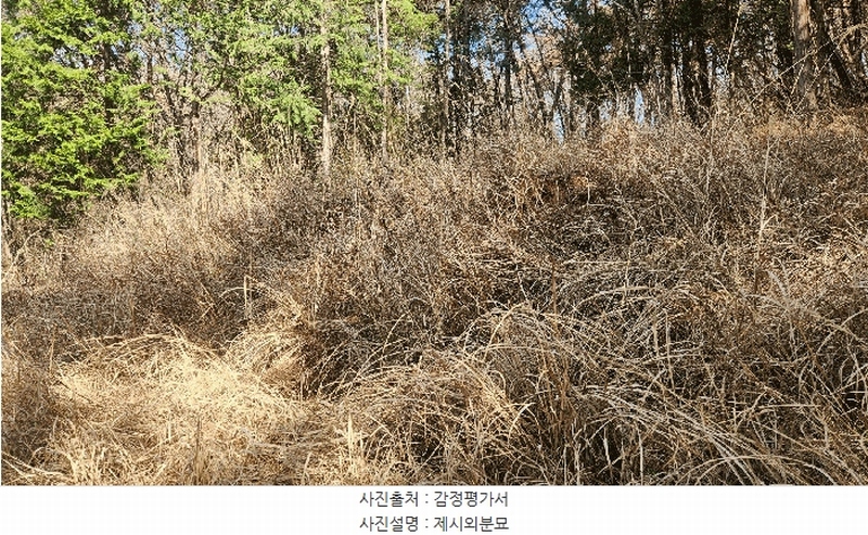 2025타경30703 경상남도 진주시 금곡면 가봉리 산34 임야 경매 이미지