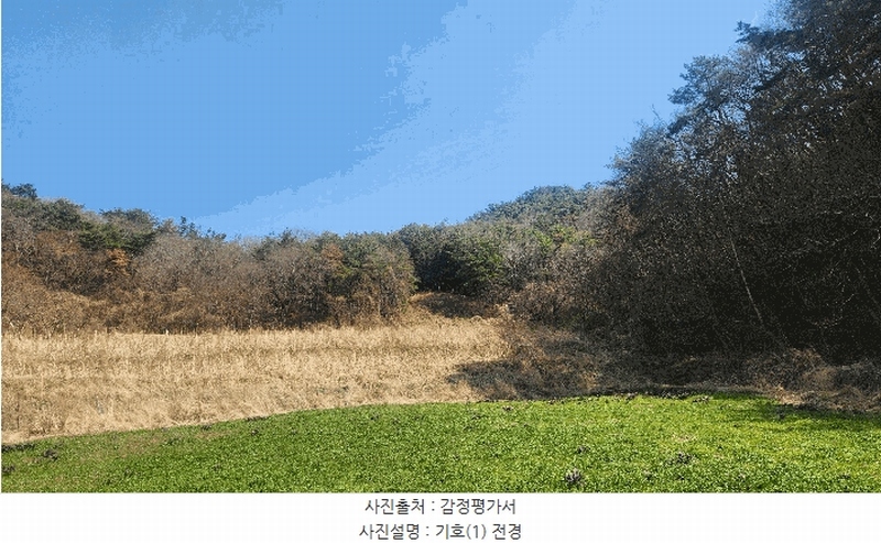 2025타경30703 경상남도 진주시 금곡면 가봉리 산34 임야 경매 이미지