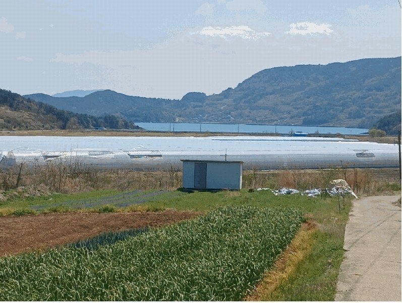 2025타경30731 경상남도 하동군 금남면 대치리 70-21 농지 경매 이미지