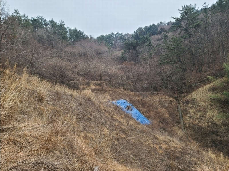 2023타경370 경상남도 거제시 연초면 송정리 70 농지 경매 이미지