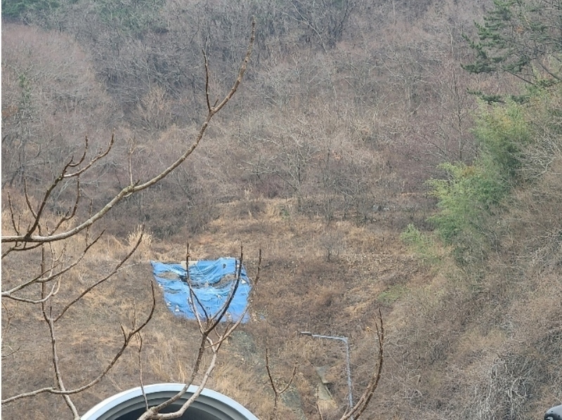 2023타경370 경상남도 거제시 연초면 송정리 70 농지 경매 이미지