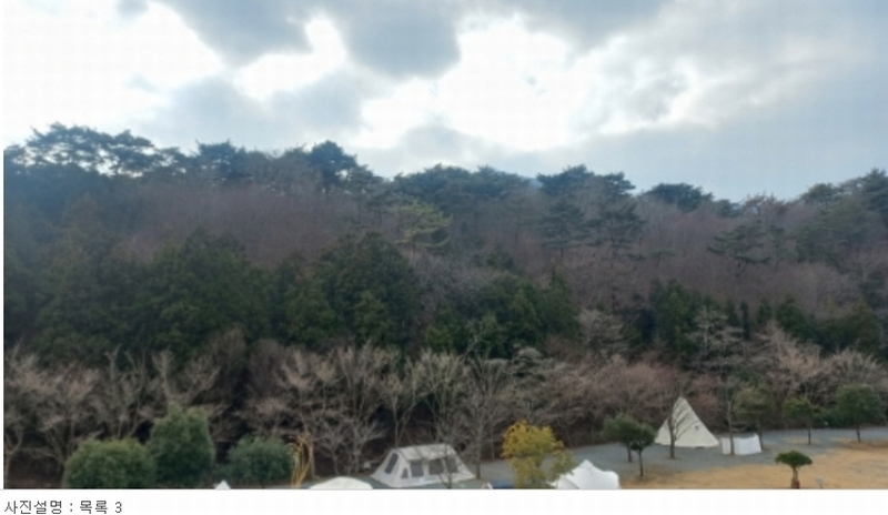 2023타경5993 경상남도 거제시 동부면 구천리 산73-4 임야 경매 이미지