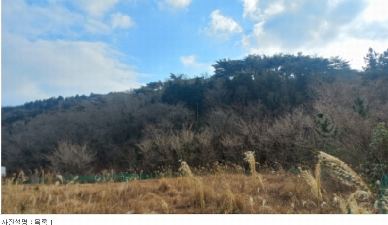 2023타경5993 경상남도 거제시 동부면 구천리 산73-4 임야 경매 이미지