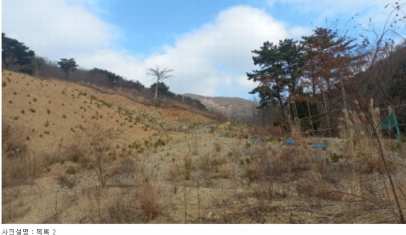 2023타경5993 경상남도 거제시 동부면 구천리 산73-4 임야 경매 이미지