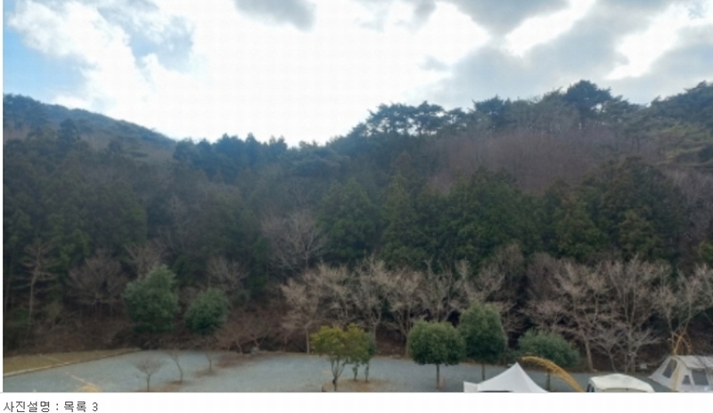 2023타경5993 경상남도 거제시 동부면 구천리 산73-4 임야 경매 이미지