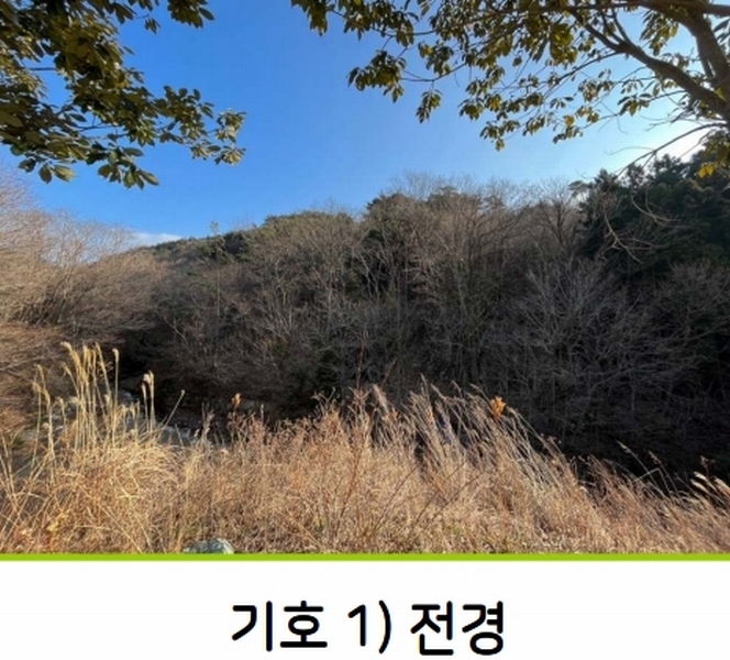 2023타경5993 경상남도 거제시 동부면 구천리 산73-4 임야 경매 이미지