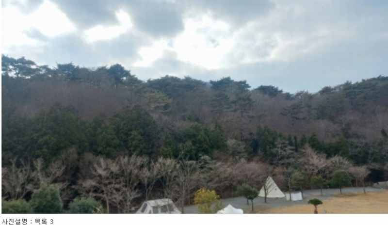 2023타경5993 경상남도 거제시 동부면 구천리 산73-4 임야 경매 이미지