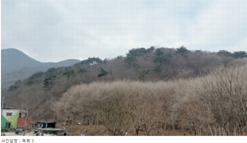 2023타경5993 경상남도 거제시 동부면 구천리 산73-4 임야 경매 이미지