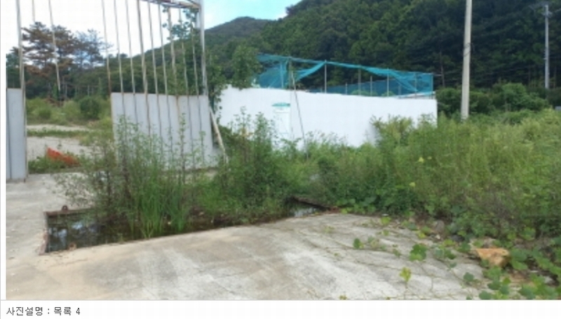 2023타경5993 경상남도 거제시 동부면 구천리 산73-4 임야 경매 이미지