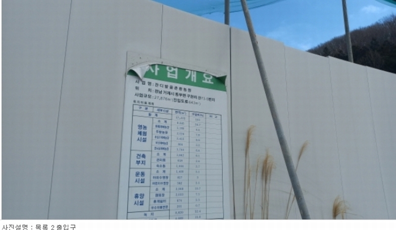 2023타경5993 경상남도 거제시 동부면 구천리 산73-4 임야 경매 이미지