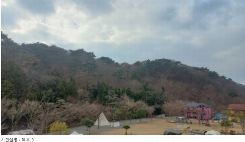2023타경5993 경상남도 거제시 동부면 구천리 산73-4 임야 경매 이미지