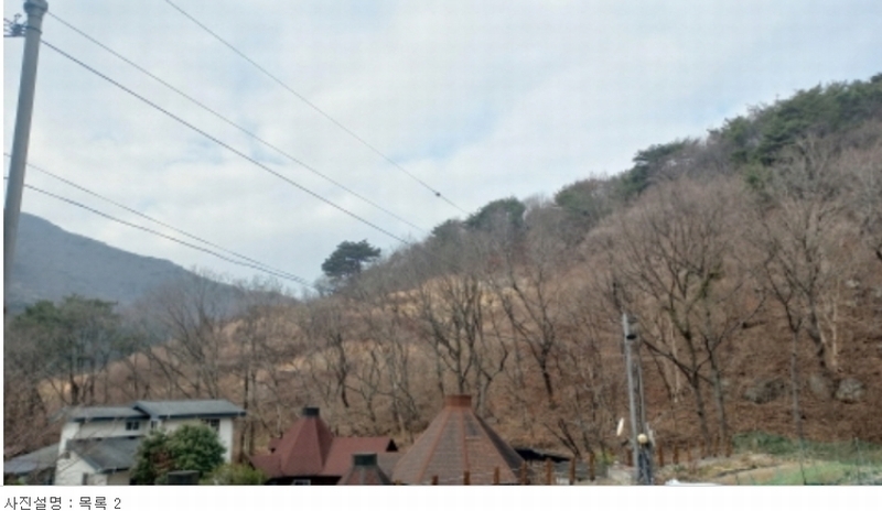 2023타경5993 경상남도 거제시 동부면 구천리 산73-4 임야 경매 이미지