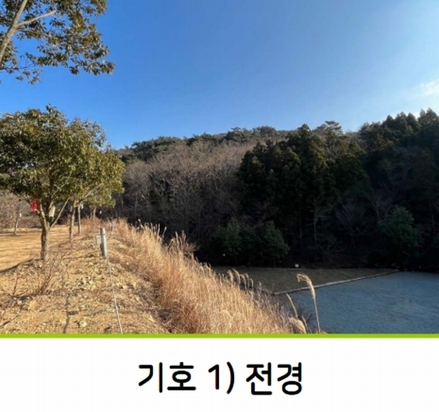 2023타경5993 경상남도 거제시 동부면 구천리 산73-4 임야 경매 이미지