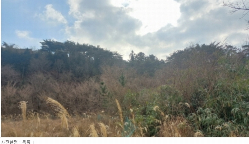 2023타경5993 경상남도 거제시 동부면 구천리 산73-4 임야 경매 이미지