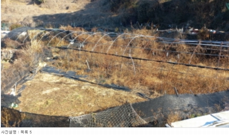 2023타경31428 경상남도 거제시 남부면 저구리 524-4 농지 경매 이미지