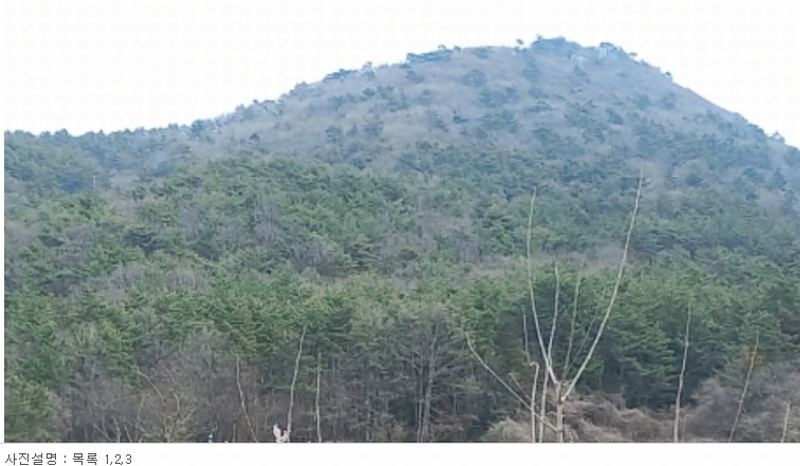 2024타경1226 경상남도 거제시 수월동 산45 임야 경매 이미지
