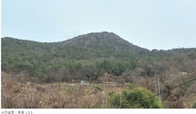 2024타경1226 경상남도 거제시 수월동 산45 임야 경매 이미지