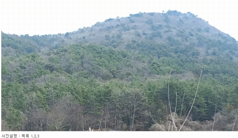 2024타경1226 경상남도 거제시 수월동 산45 임야 경매 이미지