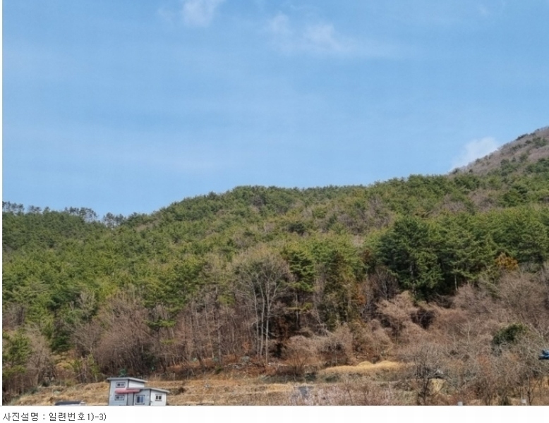 2024타경1226 경상남도 거제시 수월동 산45 임야 경매 이미지