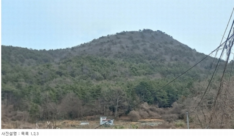 2024타경1226 경상남도 거제시 수월동 산45 임야 경매 이미지