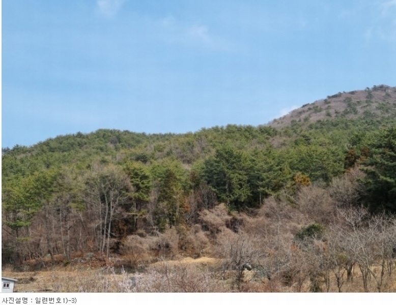 2024타경1226 경상남도 거제시 수월동 산45 임야 경매 이미지