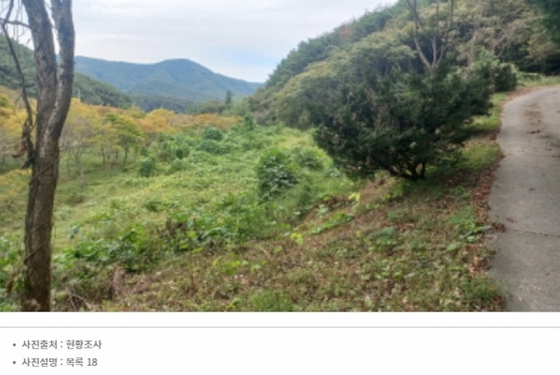 2024타경4300 경상남도 고성군 마암면 석마리 405-9 농지 경매 이미지