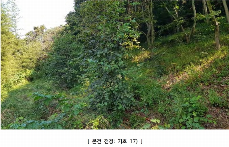 2024타경4300 경상남도 고성군 마암면 석마리 405-9 농지 경매 이미지