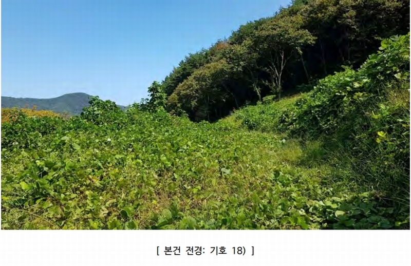2024타경4300 경상남도 고성군 마암면 석마리 405-9 농지 경매 이미지