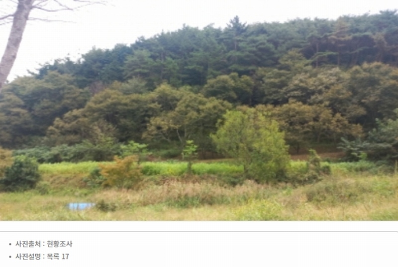 2024타경4300 경상남도 고성군 마암면 석마리 405-9 농지 경매 이미지