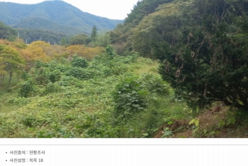 2024타경4300 경상남도 고성군 마암면 석마리 405-9 농지 경매 이미지
