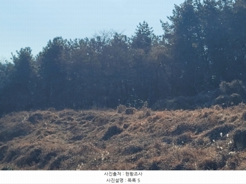 2024타경4874 경상남도 거제시 사등면 사등리 2181-7 농지 경매 이미지