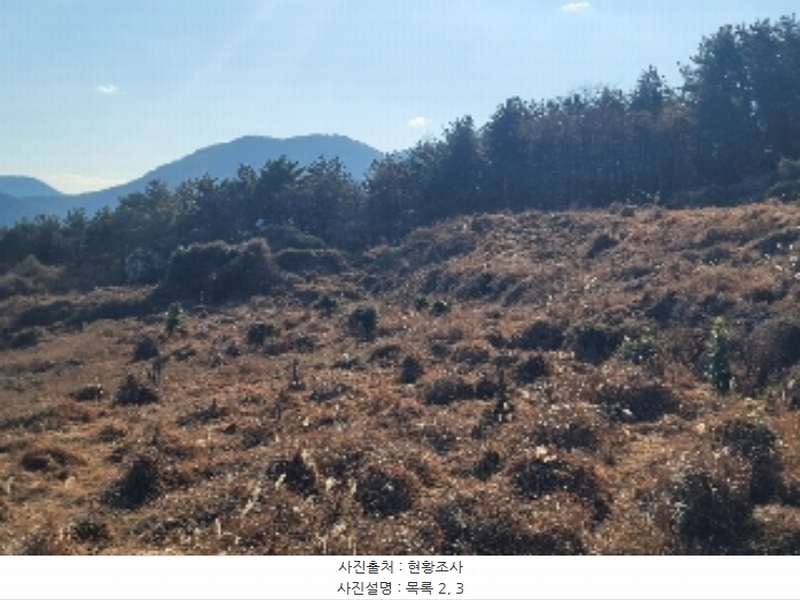 2024타경4874 경상남도 거제시 사등면 사등리 2181-7 농지 경매 이미지