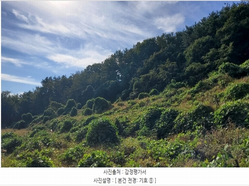2024타경4874 경상남도 거제시 사등면 사등리 2181-7 농지 경매 이미지