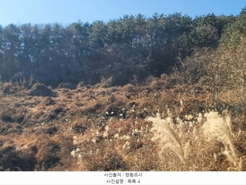 2024타경4874 경상남도 거제시 사등면 사등리 2181-7 농지 경매 이미지