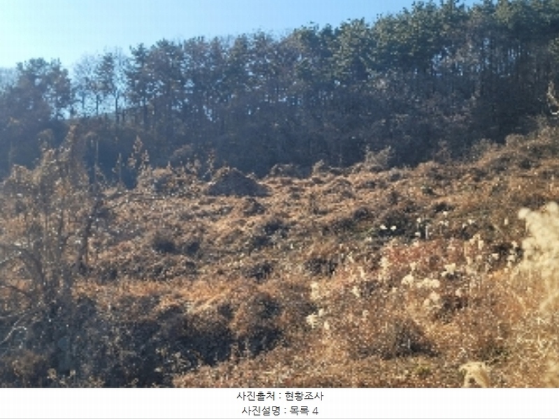 2024타경4874 경상남도 거제시 사등면 사등리 2181-7 농지 경매 이미지