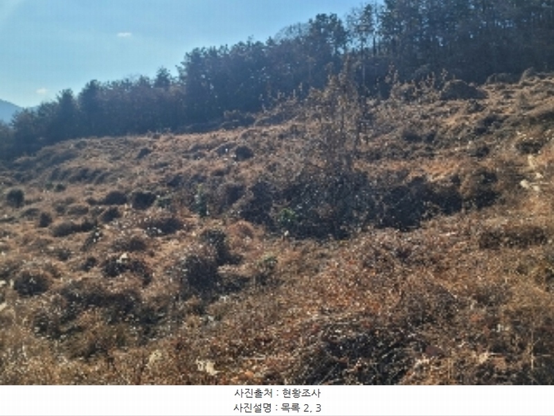 2024타경4874 경상남도 거제시 사등면 사등리 2181-7 농지 경매 이미지