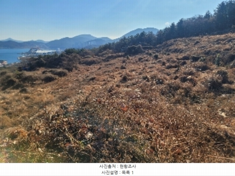 2024타경4874 경상남도 거제시 사등면 사등리 2181-7 농지 경매 이미지