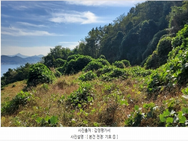 2024타경4874 경상남도 거제시 사등면 사등리 2181-7 농지 경매 이미지