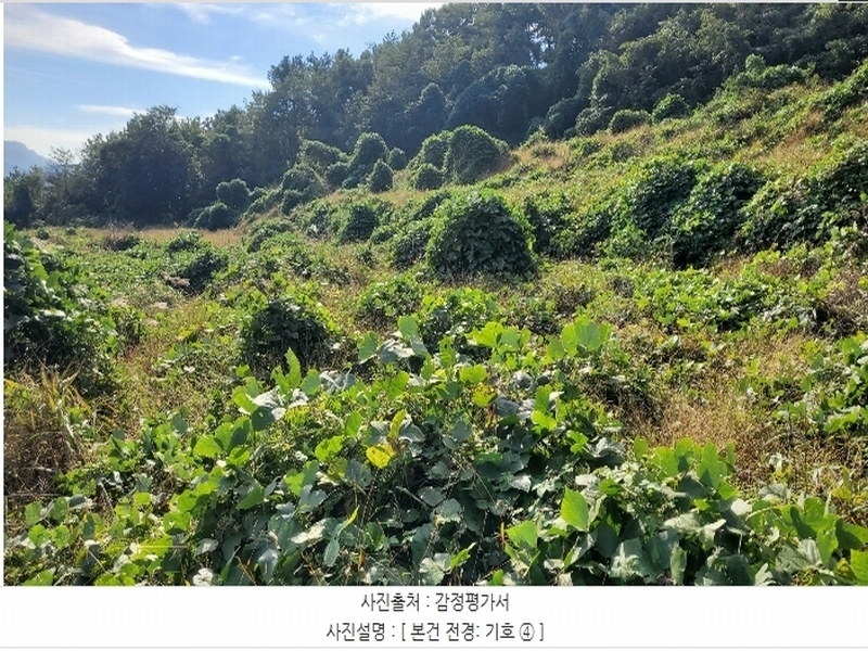 2024타경4874 경상남도 거제시 사등면 사등리 2181-7 농지 경매 이미지