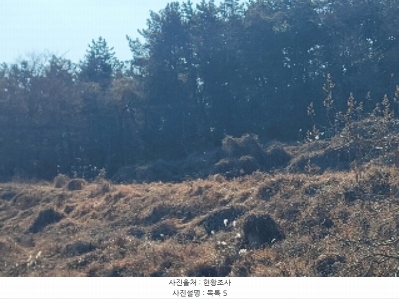 2024타경4874 경상남도 거제시 사등면 사등리 2181-7 농지 경매 이미지